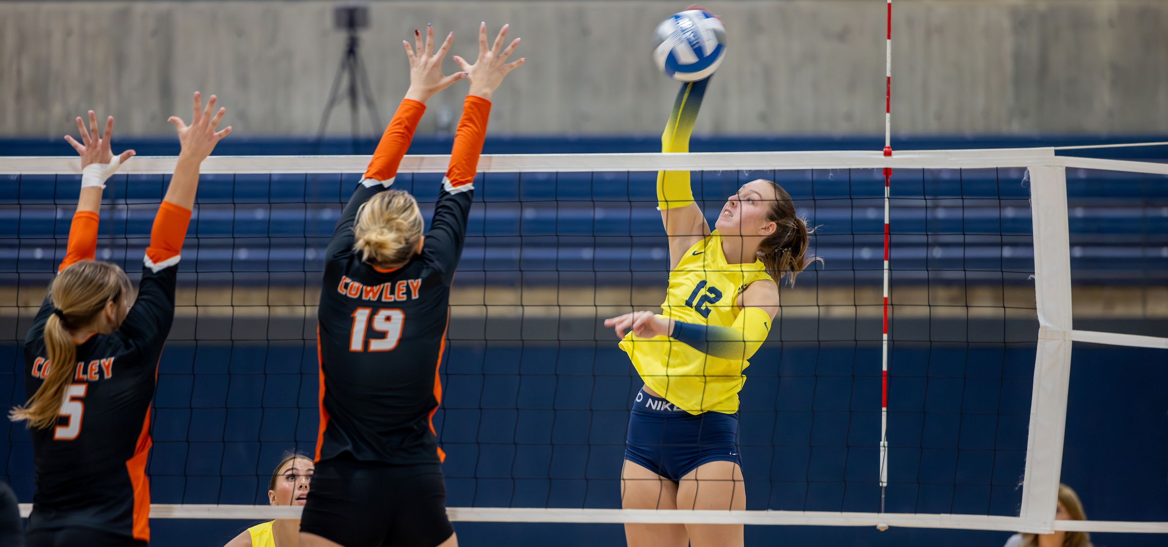 The photo captures a dynamic moment during a volleyball match:

A player, Ava Esser, in a yellow jersey, number 12, is airborne, executing a spike over the net.
Two opposing players in black jerseys with orange sleeves, representing Cowley, are attempting to block the spike.

One blocker wears jersey number 19, and another visible player wears number 5.

The image conveys a sense of intensity and athleticism, highlighting the competitive nature of the game.